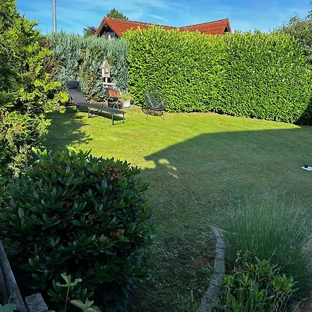 Semesterbostad Behagliches Nurdachhaus Im Ferienhausgebiet Langelsheim